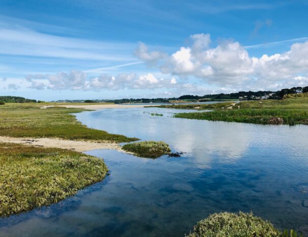 Lagune ile longue
